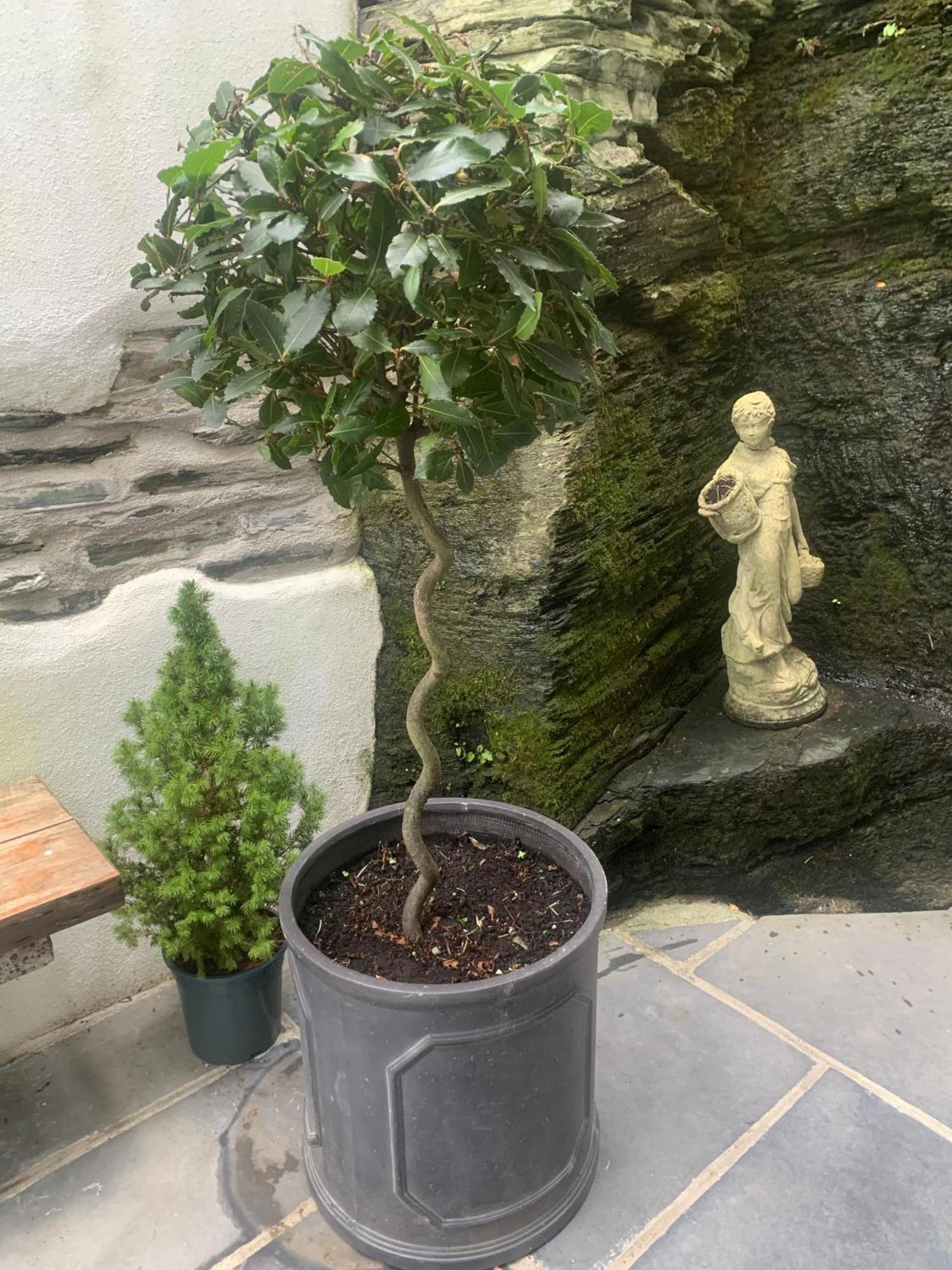 Georgian Holiday Apartment In Boscastle Bagian luar foto